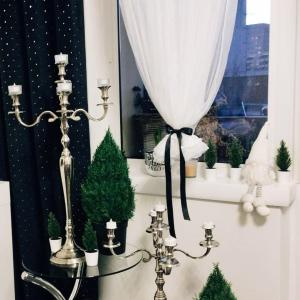 Apartamenty Magvel Jasna