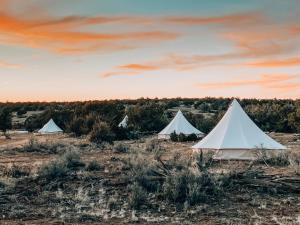 Wander Camp Grand Canyon