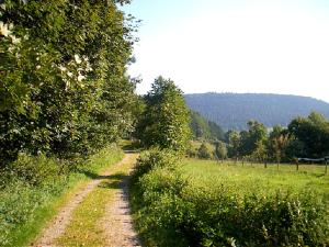 Gasthof Erlenhof