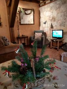 Casa Rural Mi Rinconcillo