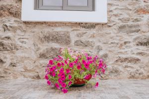 Casa da Morena by Amazing Madeira