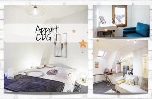Appartements Appart CDG 1 - Gratuit - Prox Outlet et Troyes : photos des chambres