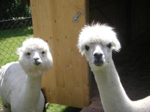 Landhotel Sperlingsberg