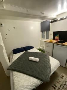 Appartements Le Petit Beaurepaire : photos des chambres