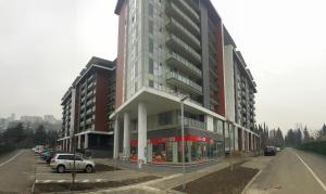 Full comfort in Tbilisi