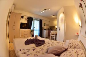 Countryside Studio Apartment Valentina