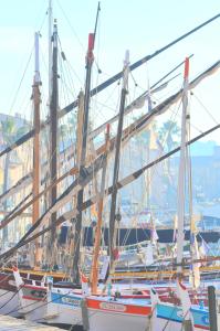 Appartements les Chambres Tropeziennes : photos des chambres