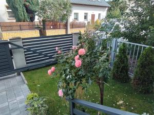 Apartament Lidia