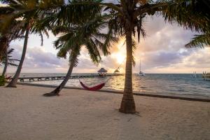 Frangipani 8 at Caribe Island Gold Standard Certified