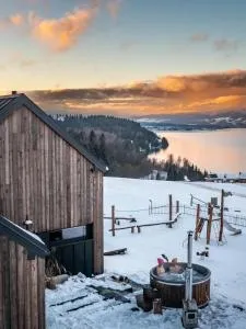 Domki z Górki na Pazurki - Falsztyn