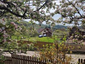 Cottage in traditional village Bradulet, Arges county
