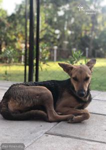 Jamstay by Natures Abode®Villas