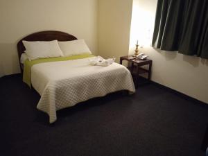 HOSTAL VISTA AMAZONAS