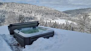 Maisons d'hotes Chalet Terejo & spa : photos des chambres