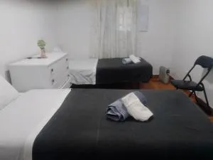 Casa das Casas Novas - nº40 - Monte do Falcato