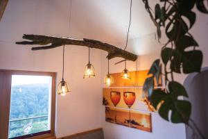 Holiday home in Sentvid pri Sticni - Zentralslowenien 43927