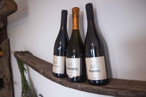 Holiday home in Sentvid pri Sticni - Zentralslowenien 43927