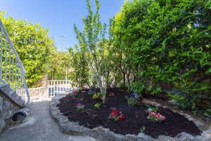 Apartment in Dubrovnik 43526