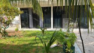 Kings Tuuch Bacalar - Cerca de la Laguna