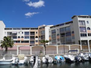 Appartement climatisé avec mezzanine, terrasse et parking, à 200m des plages, animaux admis - FR-1-338-123