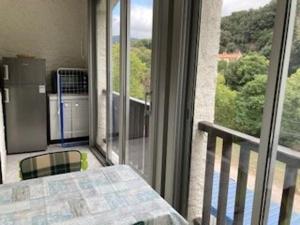 Appartement F2 Confortable à Amélie-les-Bains – Balcon, Parking, Proche Thermes, Animaux Bienvenus - FR-1-703-15