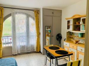 Studio Amélie-les-Bains-Palalda, 1 pièce, 2 personnes - FR-1-703-19