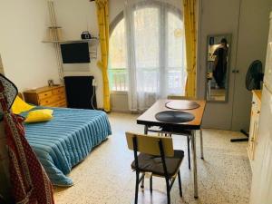 Appartements Studio Amelie-les-Bains-Palalda, 1 piece, 2 personnes - FR-1-703-19 : photos des chambres