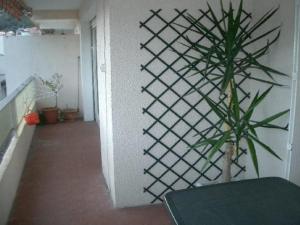 Appartements Charmant F2 avec Garage et Terrasse, 3 couchages, proche cures et centre-ville, Amelie-les-Bains - FR-1-703-12 : photos des chambres