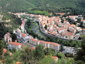 Appartements Studio Amelie-les-Bains-Palalda, 1 piece, 2 personnes - FR-1-703-39 : photos des chambres