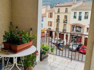 Appartements Appartement Ceret, 3 pieces, 6 personnes - FR-1-703-37 : photos des chambres