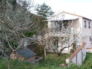 Maisons de vacances Maison F3 avec jardin, terrasse, parking, WIFI, animaux admis - Ceret - FR-1-703-43 : photos des chambres