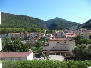 Appartements Studio Amelie-les-Bains-Palalda, 1 piece, 2 personnes - FR-1-703-69 : photos des chambres