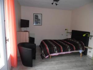 Appartements Studio climatise avec balcon, centre-ville, proche cures - 2 pers, animaux ok - FR-1-703-68 : photos des chambres
