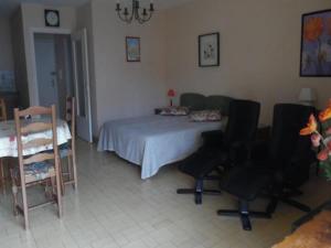 Appartements Studio Amelie-les-Bains-Palalda, 1 piece, 2 personnes - FR-1-703-63 : photos des chambres