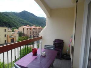 Appartements Appartement Amelie-les-Bains-Palalda, 2 pieces, 4 personnes - FR-1-703-78 : photos des chambres