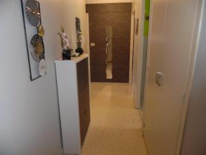 Appartement F2 avec balcon et parking à Amélie-les-Bains, idéal pour 4 personnes - FR-1-703-78