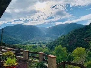 Appartement Confortable en Pleine Nature à Arles-sur-Tech - Parking et Animaux Acceptés - FR-1-703-99 - Corsavy