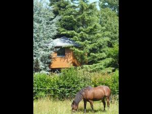 Maisons d'hotes Guestroom Port-Saint-Pere, 1 piece, 2 personnes - FR-1-306-1237 : photos des chambres