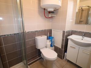 Charmant 2 pièces cabine moderne, parking inclus, proche plage et commerces, animaux admis - FR-1-307-8