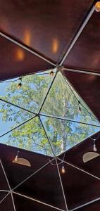 Ozoli - Pirts Viesunams