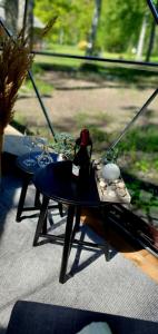 Ozoli - Pirts Viesunams