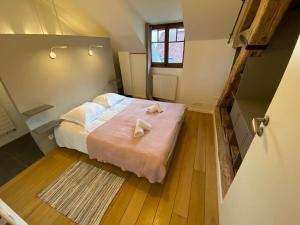 Annecy City, au cœur de la vieille ville