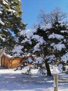 Chalets du Bois de Vache : photos des chambres