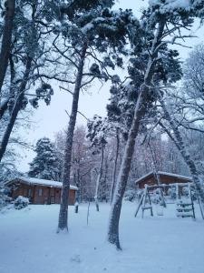 Chalets du Bois de Vache : photos des chambres