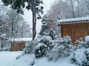 Chalets du Bois de Vache : photos des chambres