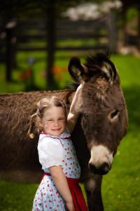 Hochleben-Chalets am Erlebnisbauernhof Steinerhof