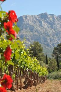 Maisons de vacances Cote Vignes 1 - Gite au milieu des vignes : photos des chambres