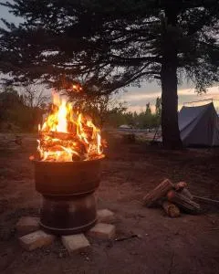 Finca Los Girasoles - 阿尔韦亚尔将军镇