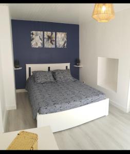 Appartements Ile de Saint-Nicolas T2 et/ou Ile de Penfret Studio : photos des chambres