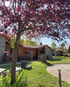 Appart'hotels Le Hameau du Comte de Foix : photos des chambres